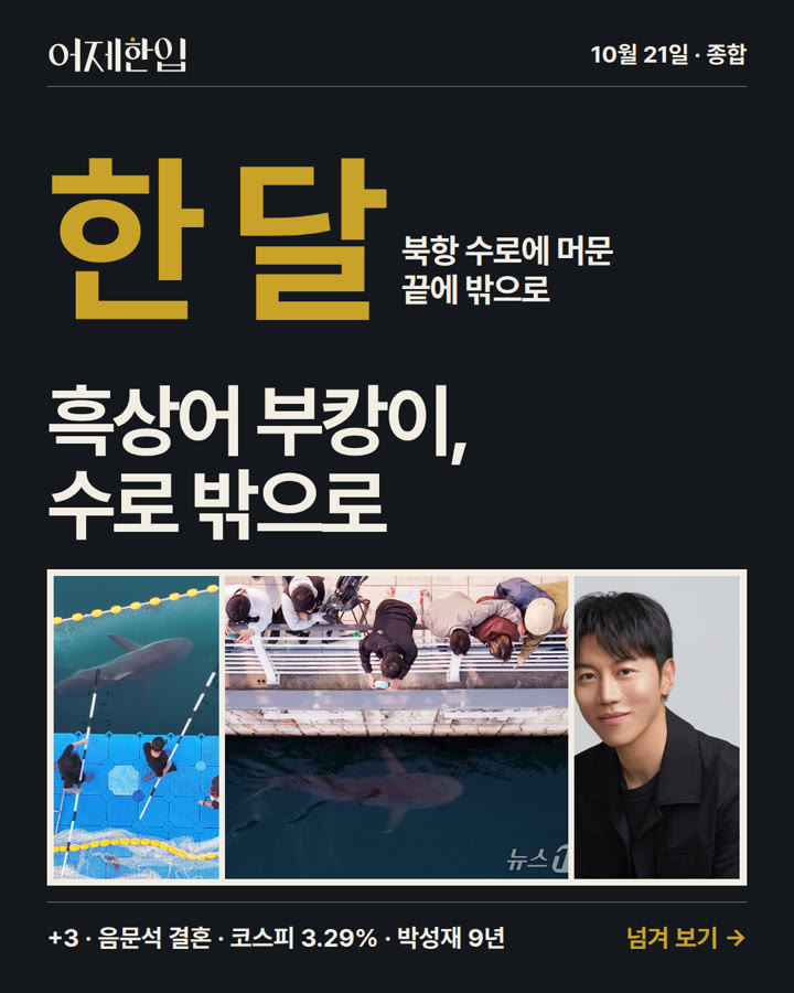 2026년 10월 21일 어제한입 카드뉴스 표지